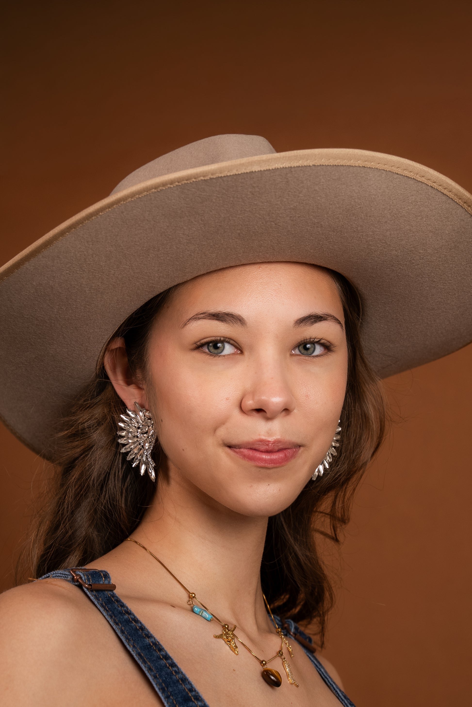 Angel Wings in Silver Earrings