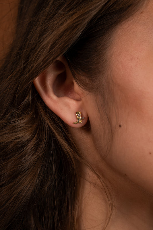 Western Rodeo Vermeil Earrings